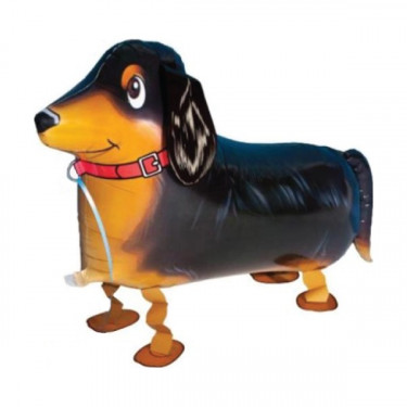 Walker-Ballon Dackel